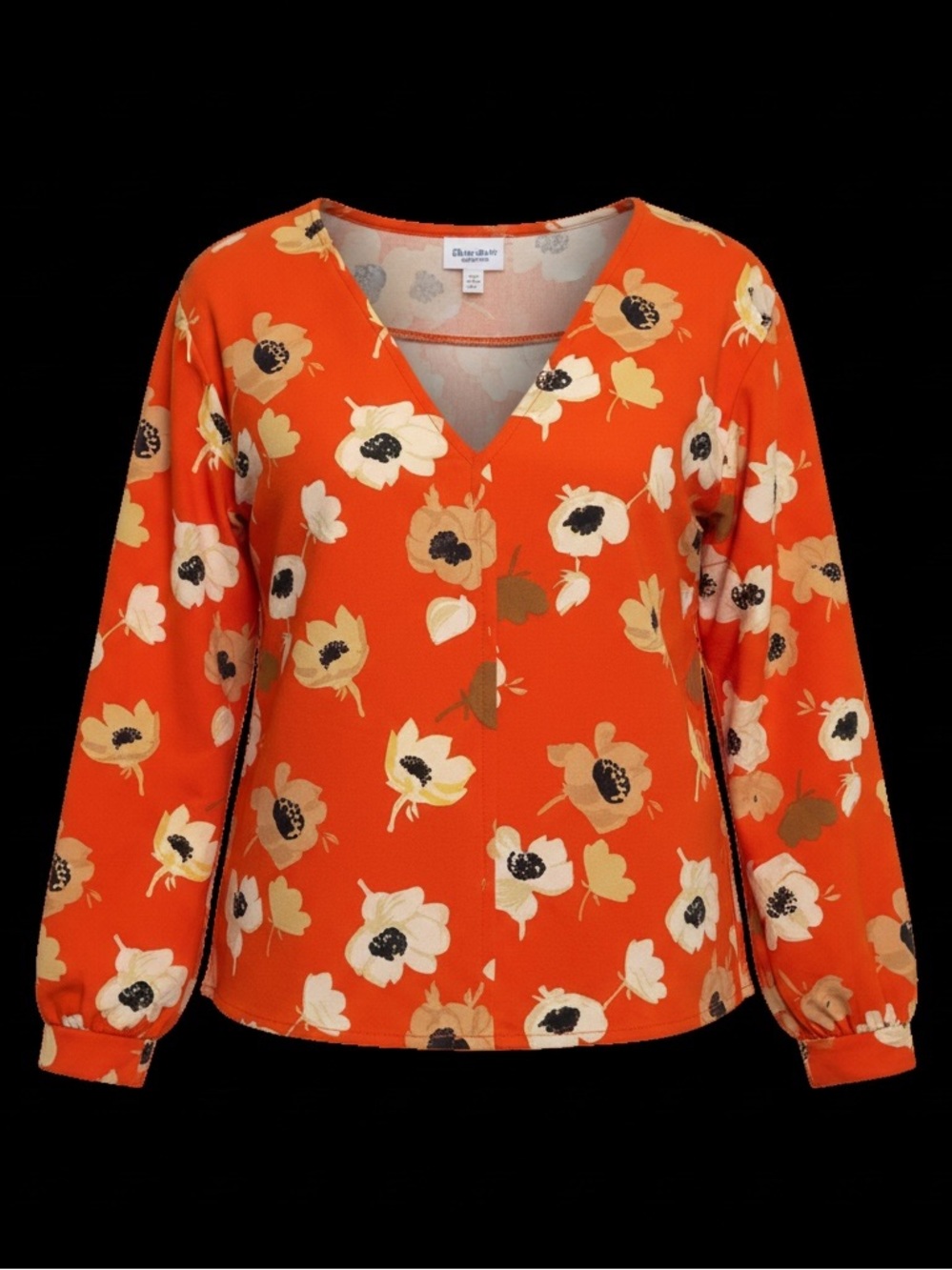 Zara floral top